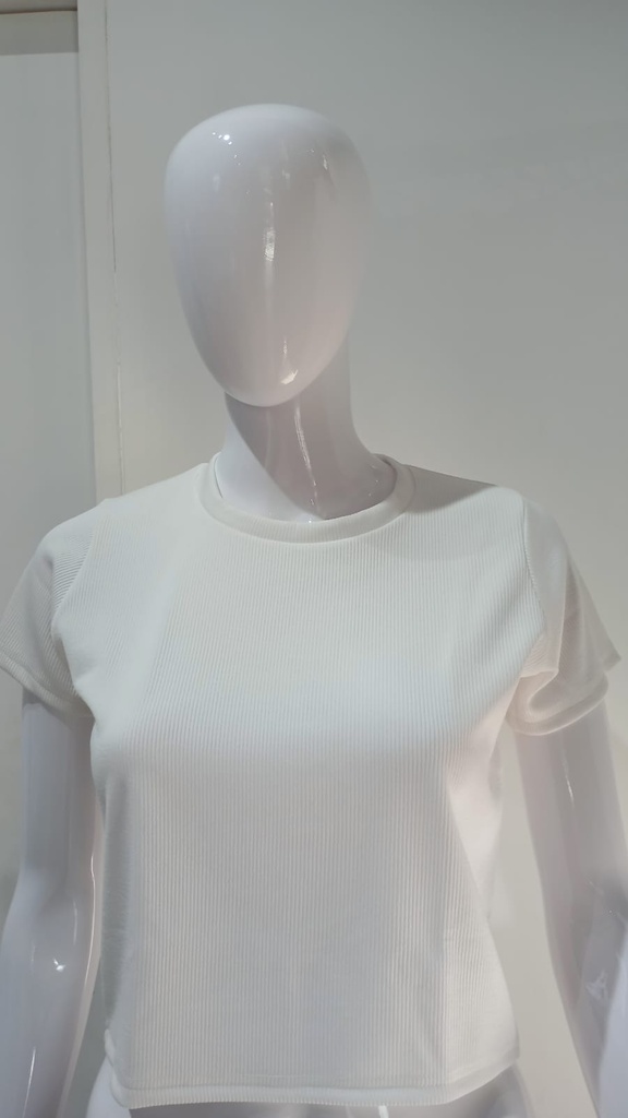 DA0219 WHITE