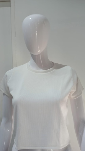 DA0219 WHITE